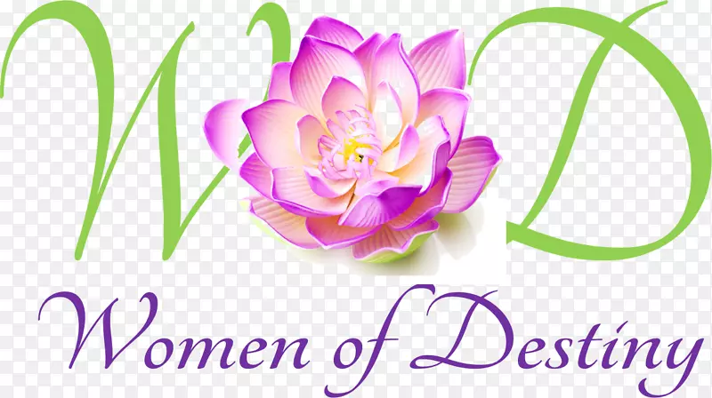 ������ź��Ӱ�������껨-������