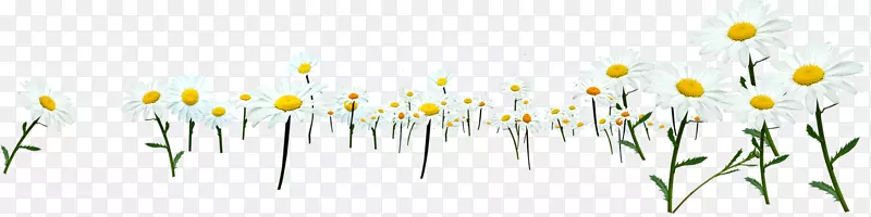 Ұ�ջ�-Ұ�ջ�-������