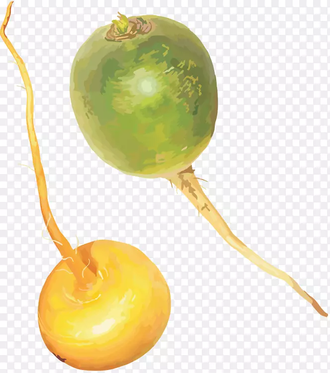 �߲��ܲ�-������