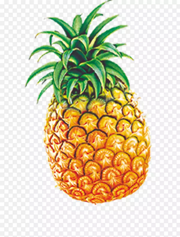 �����֭����֭�����ܹ�-����-������