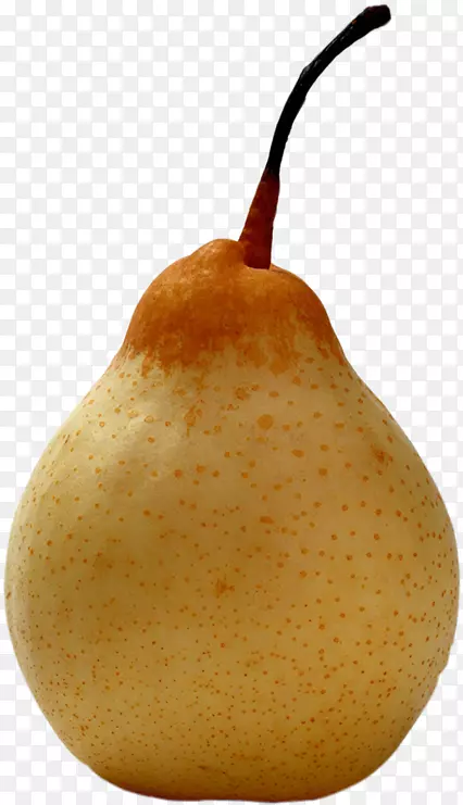 ������xd 7��-������