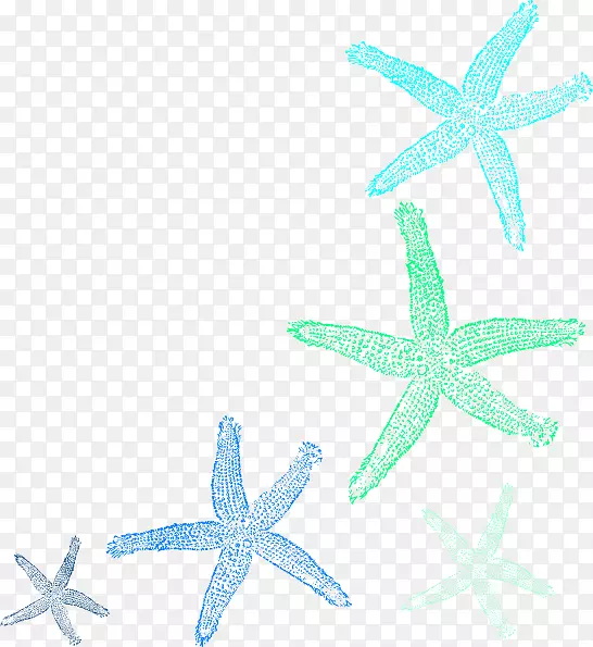 ���Ǽ�����.����-������