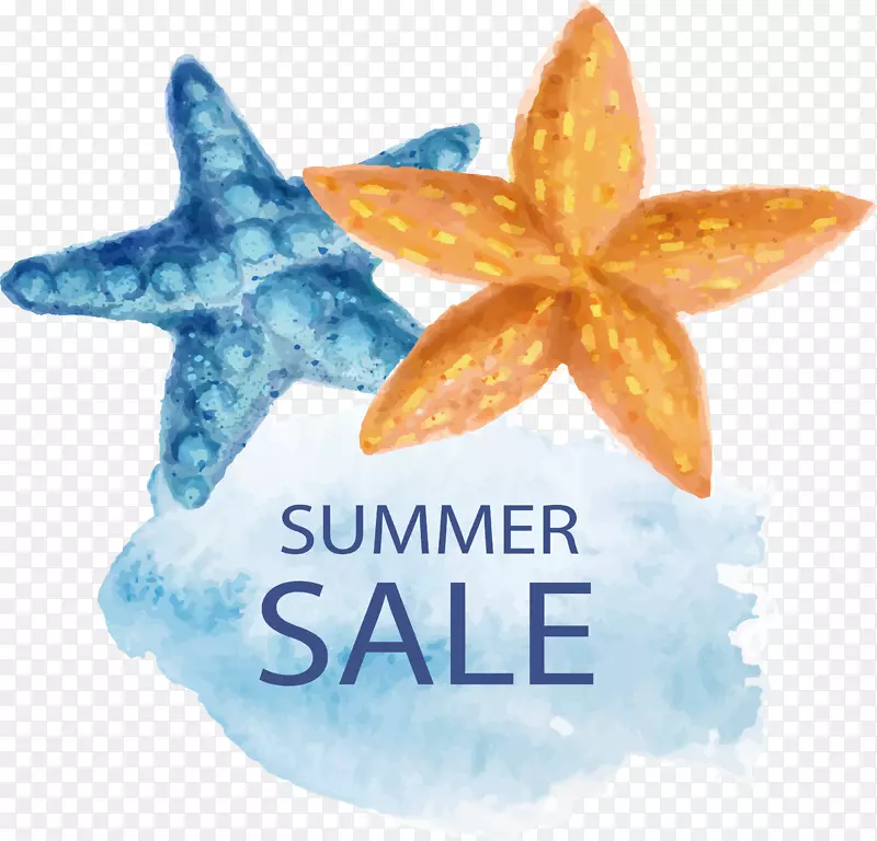 ����ˮ�ʻ�-��ֻˮ�ʻ�����-������