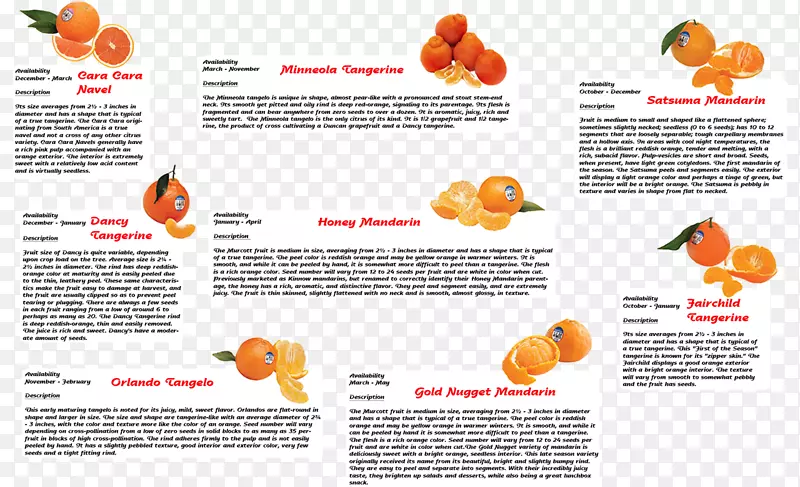 ����-�����㶹-������