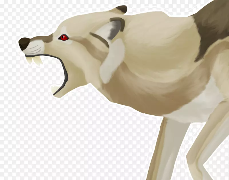 ��Ⱥ�����ӣ�Ұ������β��-��������-������