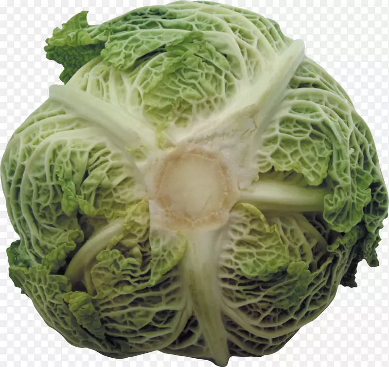 ɳ�߸���ʮ�ֻ����߲�-������