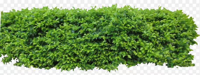 Adobe PhotoshopԪ�ؾ���-������