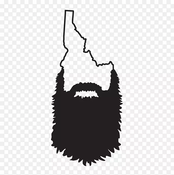 ����Boise�������ո���ֽ����-������