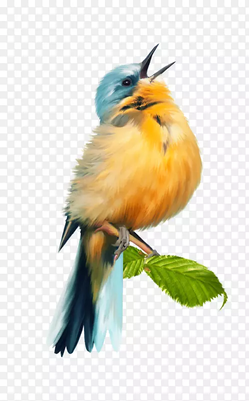 ��ɲ��ͼ�����-��-������