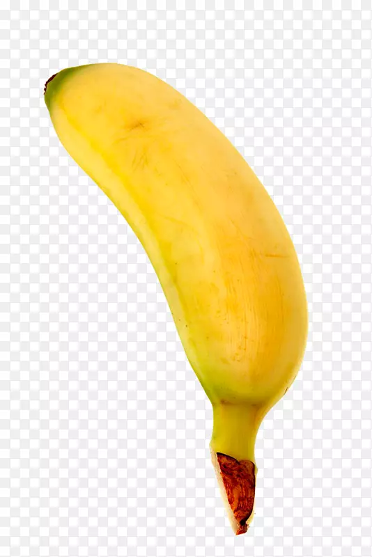 �㽶��-�㽶-������