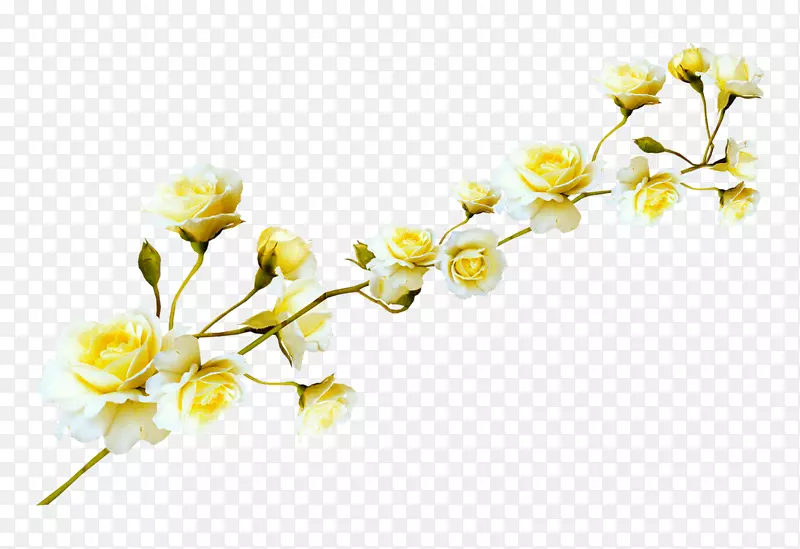 �廨����-������