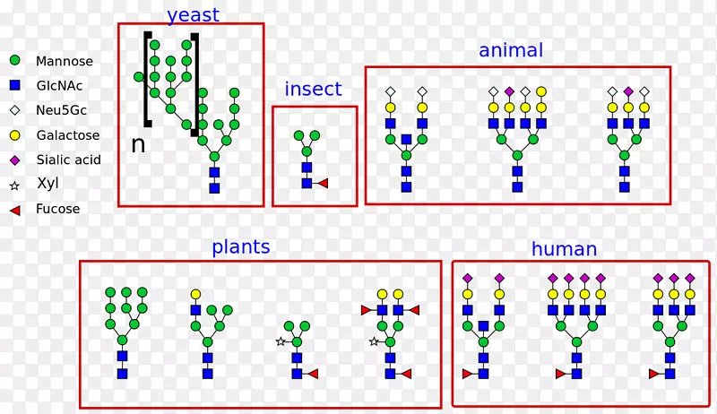 N-�����ǻ����ʰ����춬���ᵰ��-����ԭ��-������