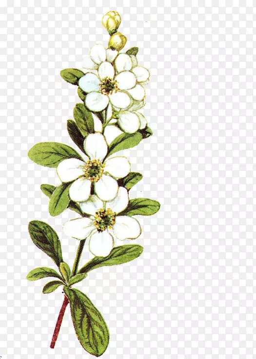 ����ģ��-������