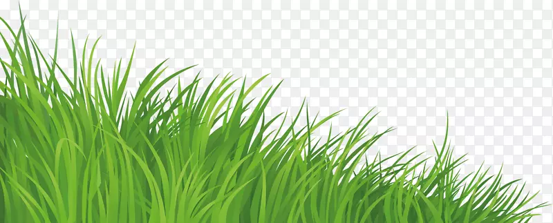 ��ƺ������-�̲�-������