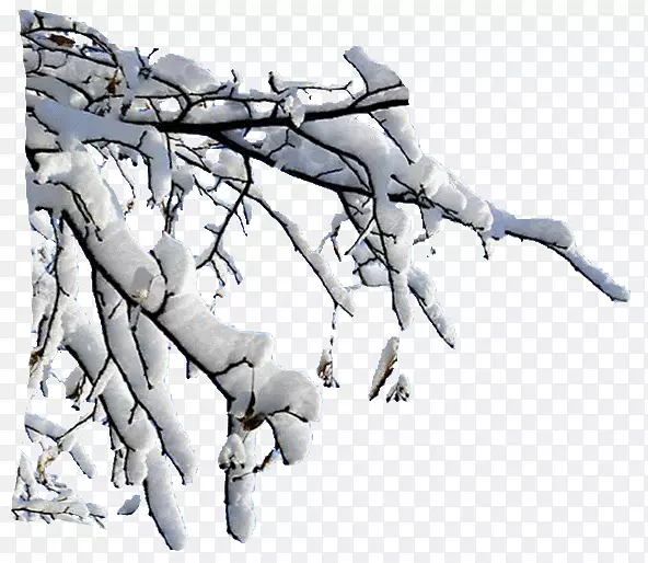 ѩ����Ƭ������-ѩ-������