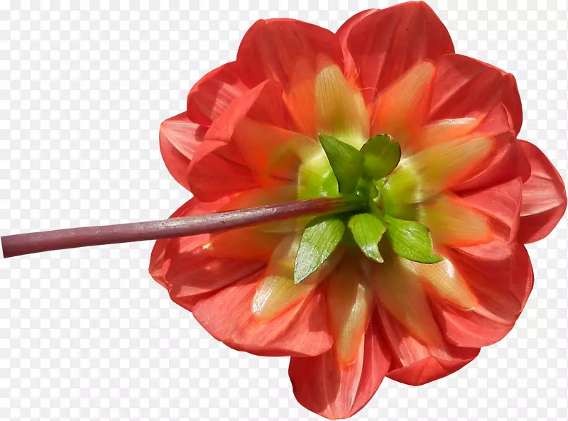 �л����꿪��ֲ��ݱ��ݵ�-������