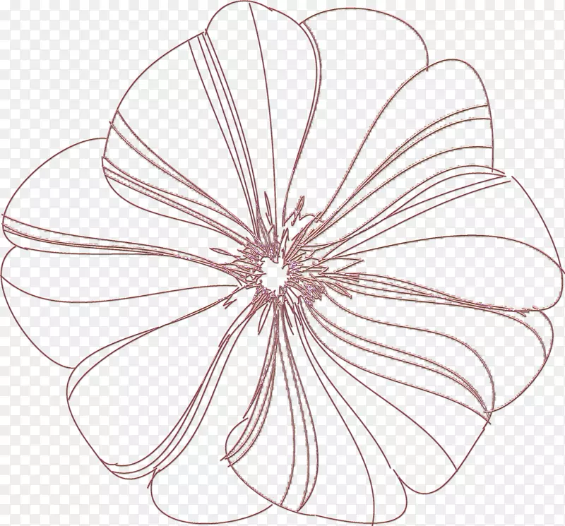 ���߶Գ���-������