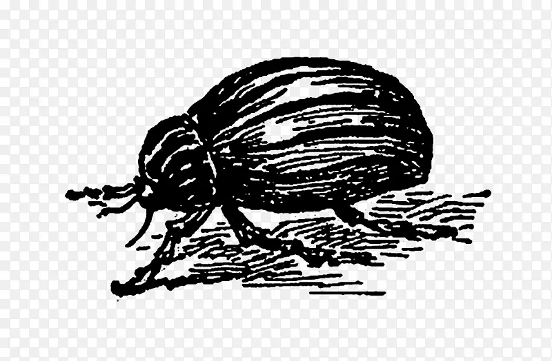 �����ͼ/m/02csf�ڷ�������-��ʽ��ͼ-������