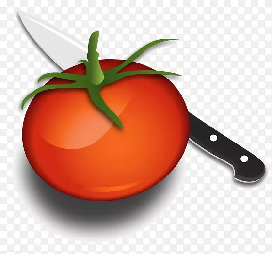 ����С���Ⱒ�����׶�������䷽��-��ʳ��-������