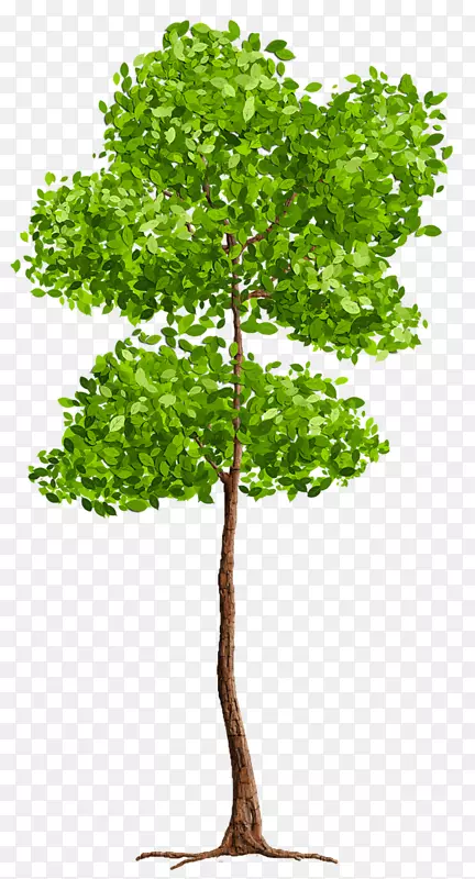 �����ͼ�����-��-������