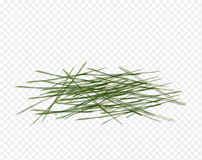 ��ɫ��������-�̲�-������