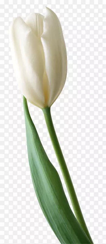 �������л�������-������-������