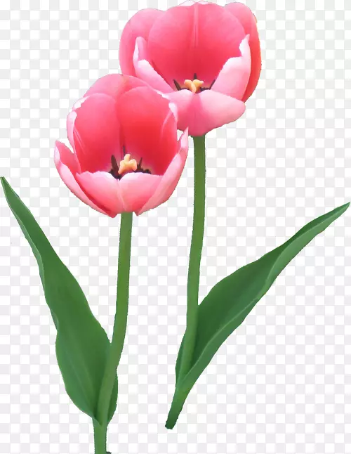 �������л�������-������-������