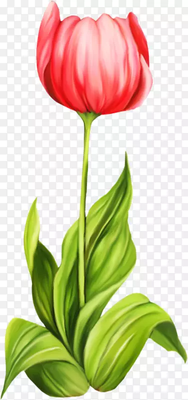 �������л�������-������-������