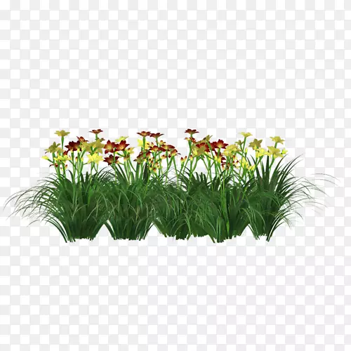 �ݻ���ֲ�ﾥ��ľ-��-������