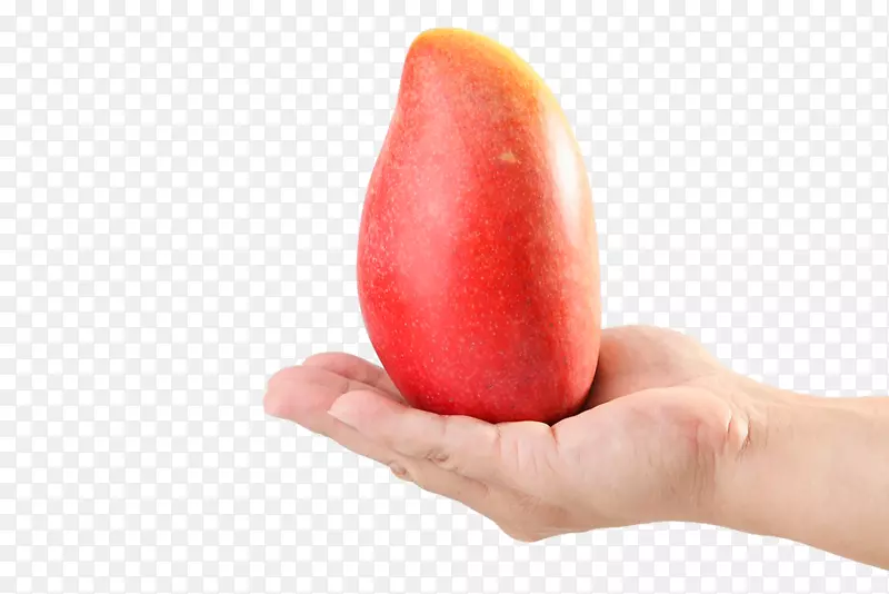 ��������ɳ��â��������������-â��-������