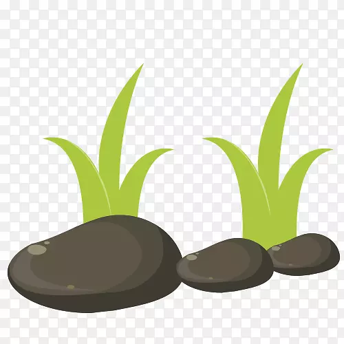 ������-�̲�-������