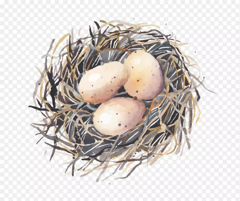 ����ˮ�ʻ�������-������