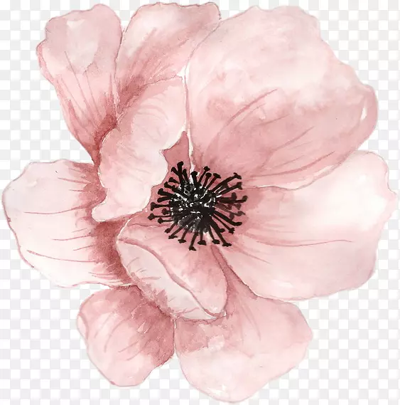 ˮ�ʻ�ˮ�ʻ�-������