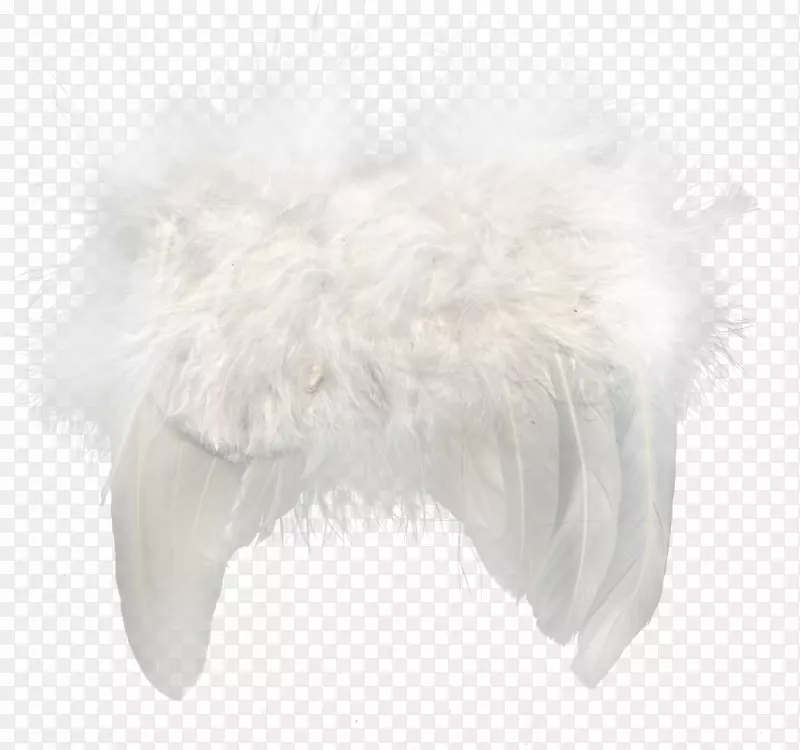 ëƤ��ë��.��ɫ��ë-������