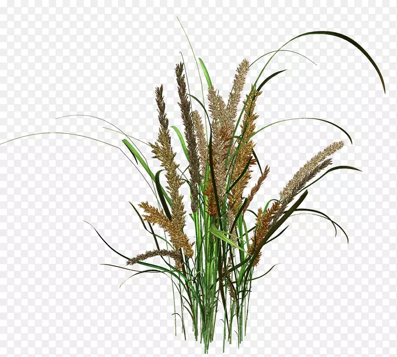 ��װPostScript������-������