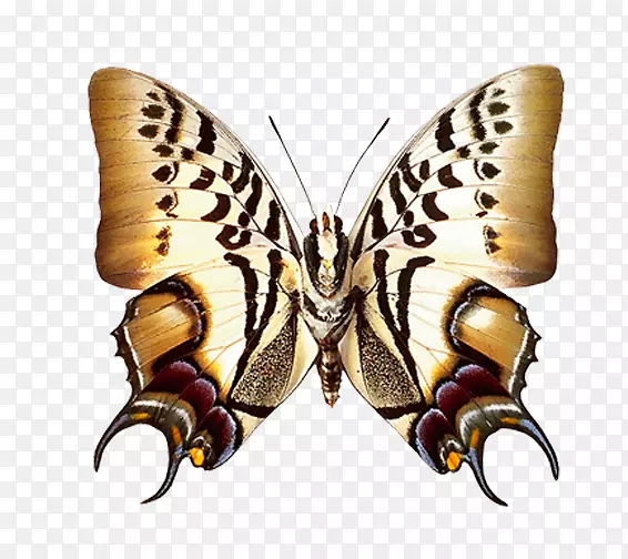 ��������-����-������