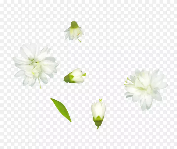 �л�ֲ�ﾥ����-������