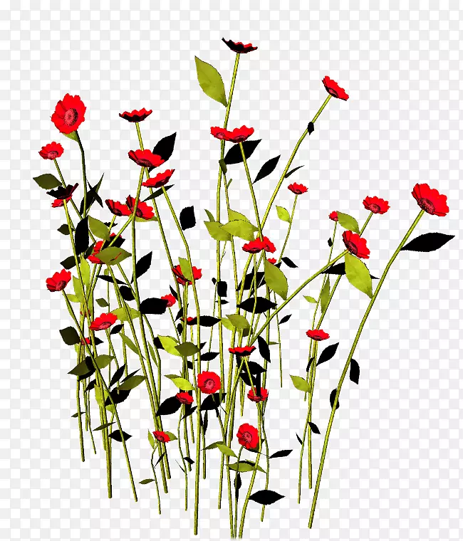 �⾰������-������