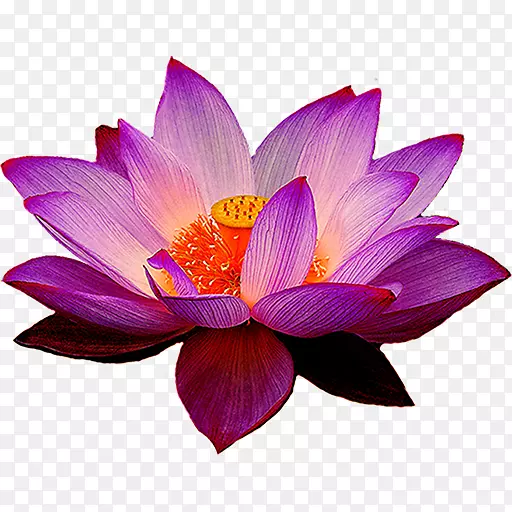 ���������٤��ˮ�ٺ����-������