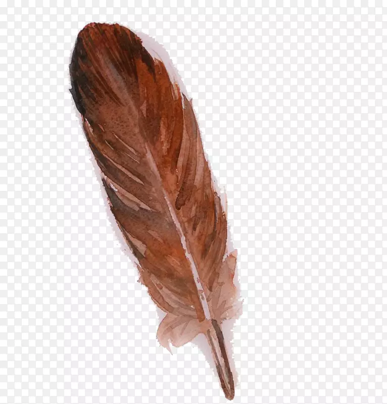 ��ëèͷӥ��ɫˮ�ʻ�.��ɫ��ë-������