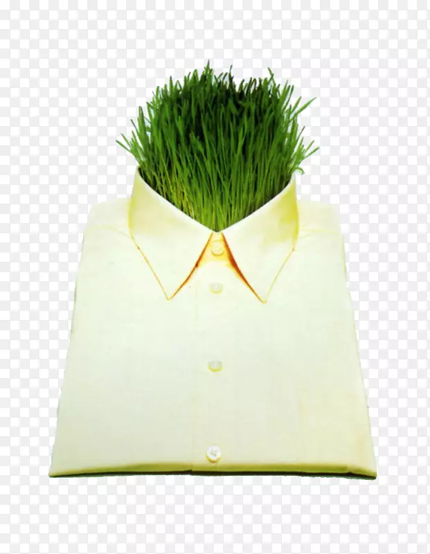 ��������-������