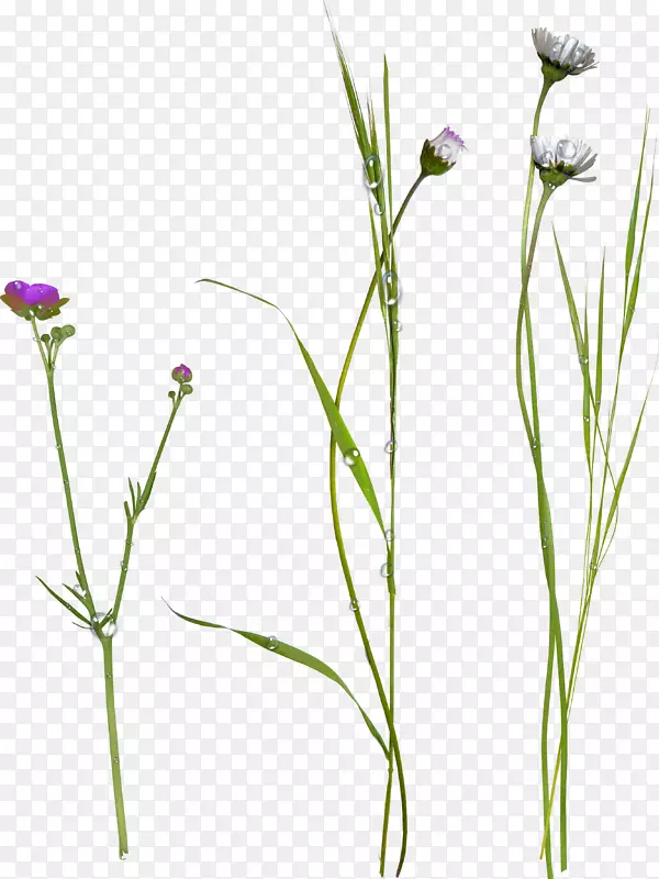 ����ֲ����ϵ-������