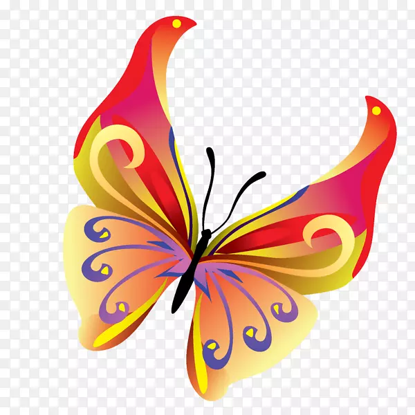 �������������-����-������