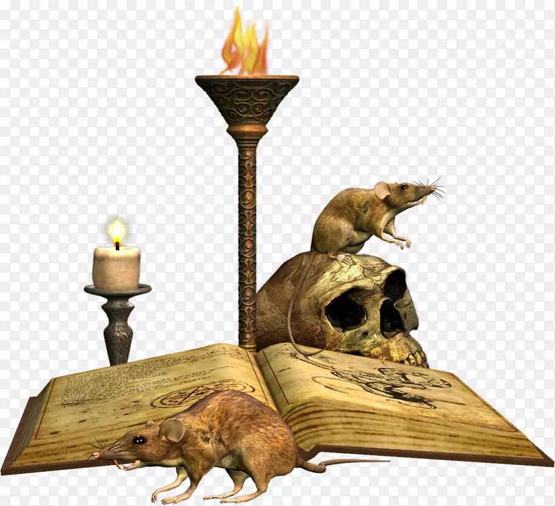 ����Krysa/m/083vt�����ʼ�����-4-������