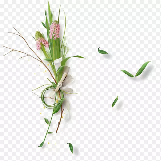 ���̲�-������