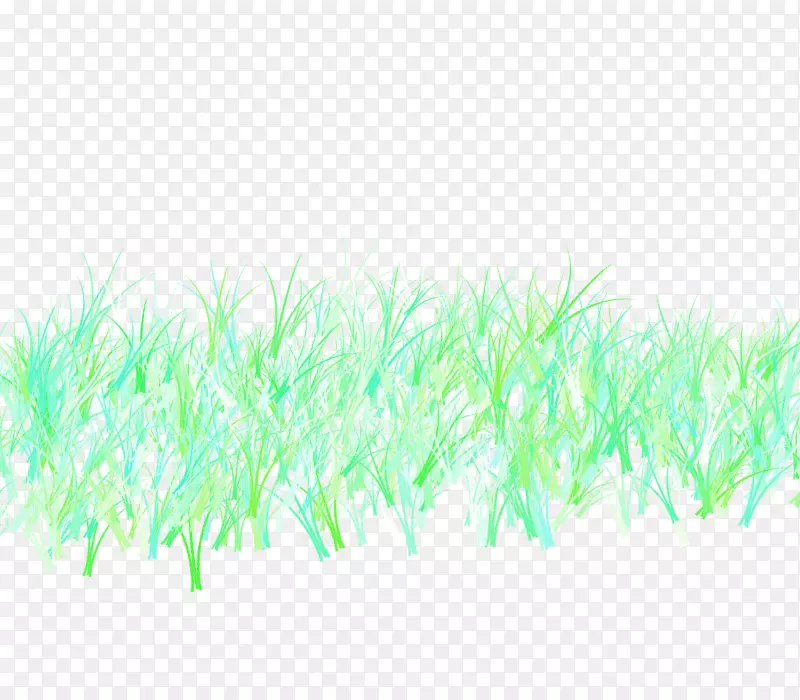 �̲�-������