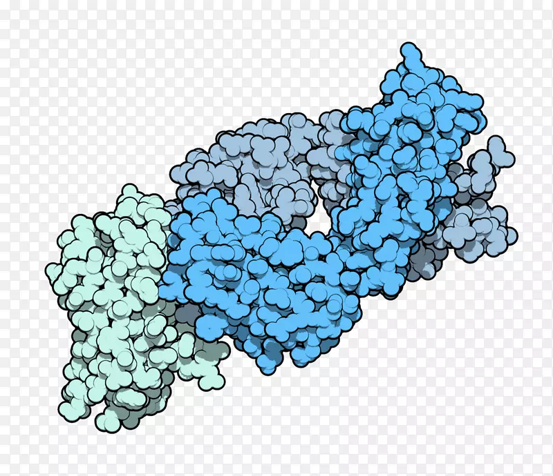 �ΰ�����ϵͳ��ԭ����ϵͳ-������