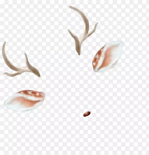 ��׿��Ƭ�˾���������-��������������-������