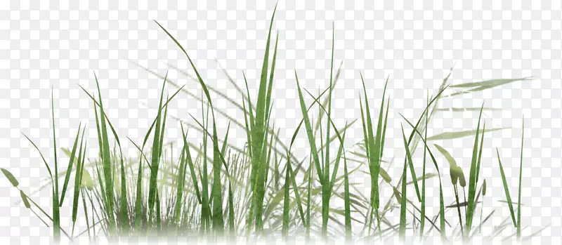 ��ʾ�Ұ��������-��ʾ�-������