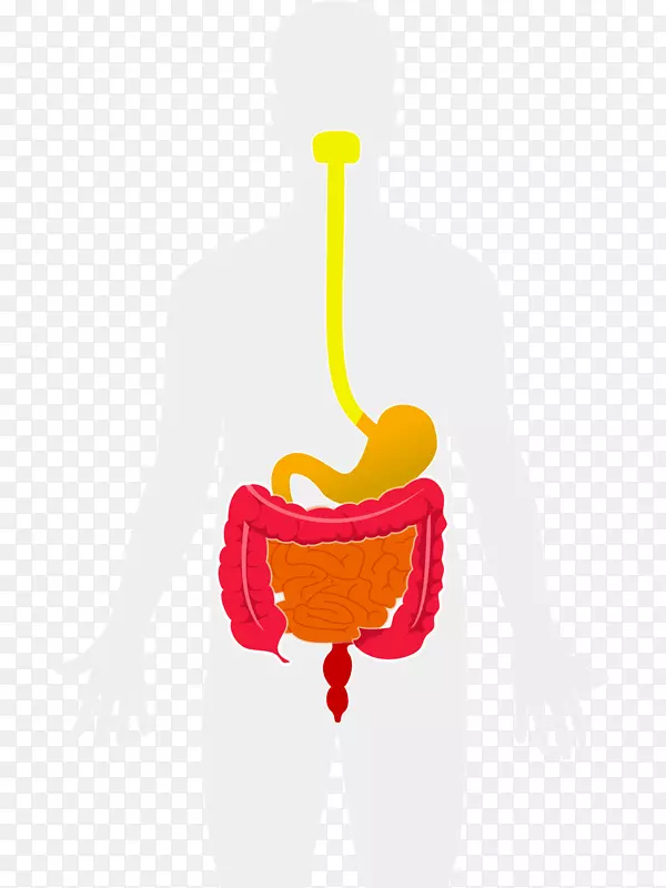 ����������-������